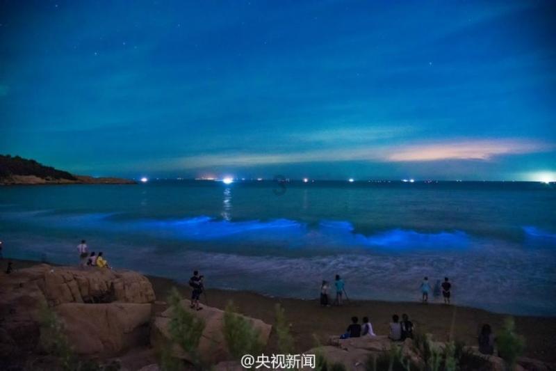 蓝狐视频